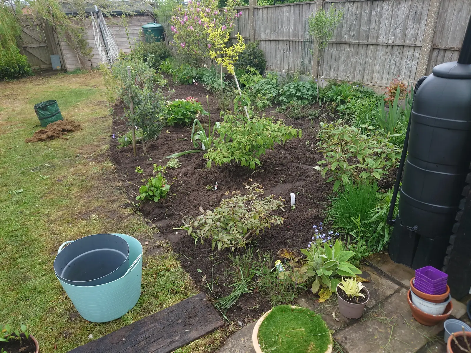 General Garden Maintenance