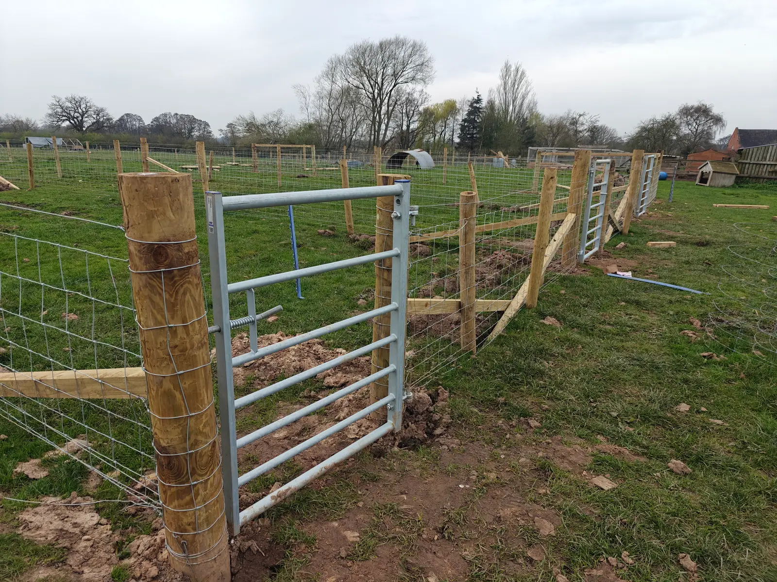Installing fencing and gates to create pig-farrowing pens